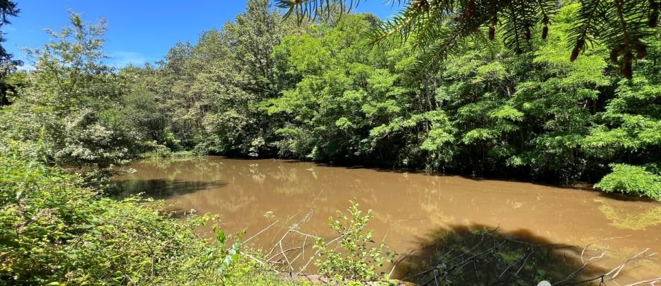 Terrain Loisirs de 7 593 m² à Frahier-et-Chatebier (70400)