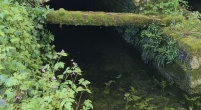 Moulin 7 pièces de 126 m² à Mauzé-sur-le-Mignon (79210)