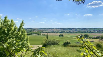 Maison 12 pièces de 274 m² à Nérac (47600)