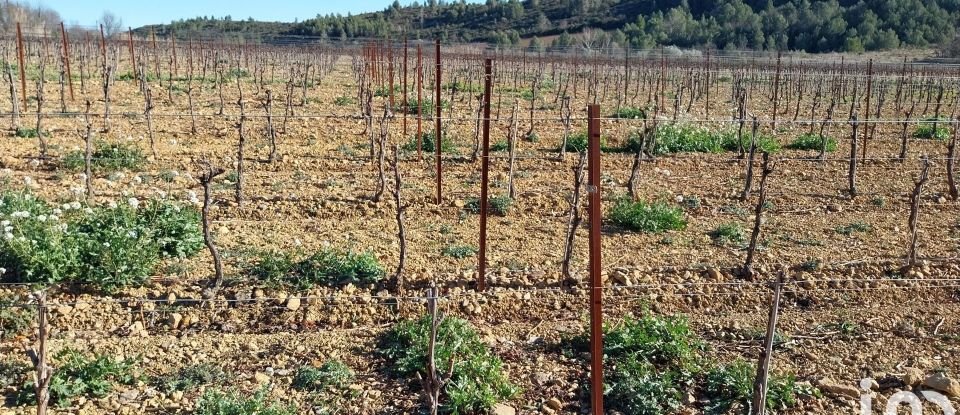 Agricultural land of 176,771 m² in Péret (34800)