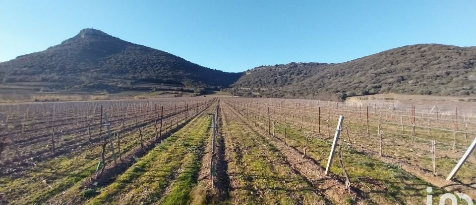 Agricultural land of 176,771 m² in Péret (34800)