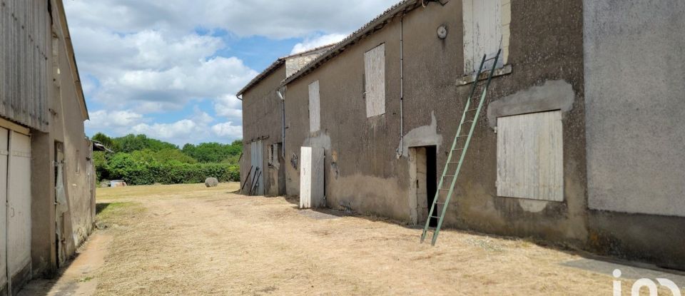 Longère 4 pièces de 75 m² à Montreuil-Bellay (49260)