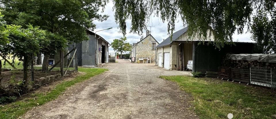 Longère 6 pièces de 138 m² à Villebernier (49400)