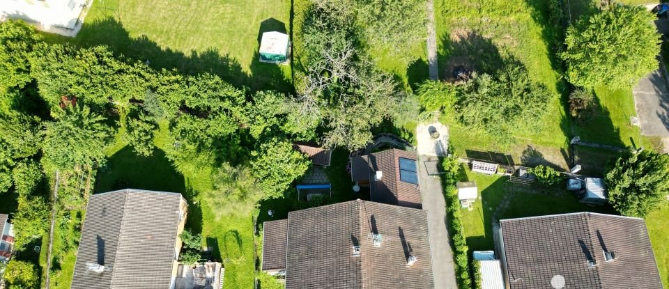 Maison traditionnelle 8 pièces de 164 m² à Saint-Amour (39160)