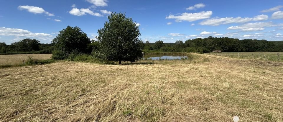 Maison de campagne 7 pièces de 195 m² à Belrupt (88260)