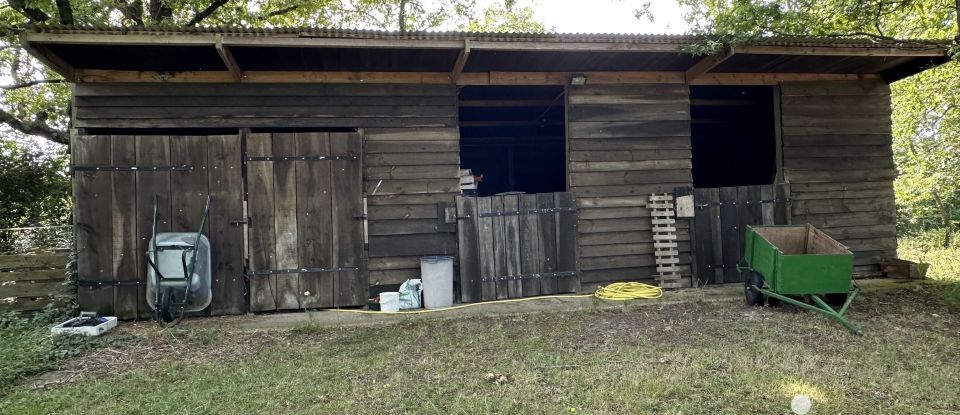 Maison 6 pièces de 187 m² à Mont-près-Chambord (41250)