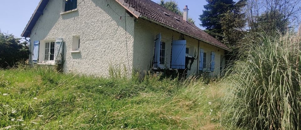 Maison 5 pièces de 140 m² à Beaulieu-sur-Loire (45630)