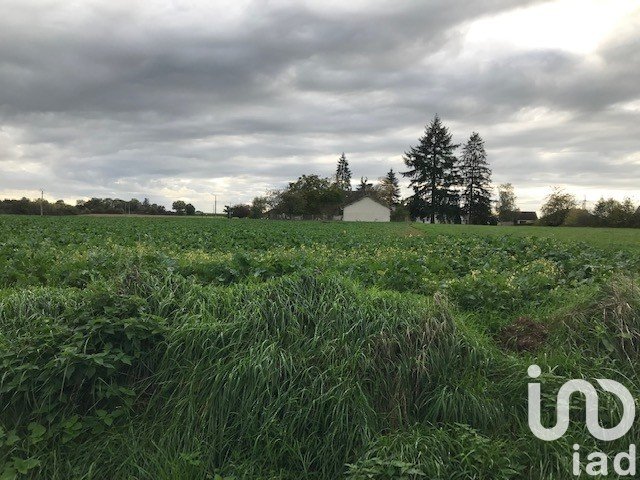 Terrain de 2 000 m² à Beaulieu-sur-Loire (45630)