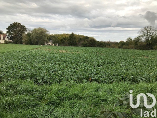 Terrain de 2 000 m² à Beaulieu-sur-Loire (45630)