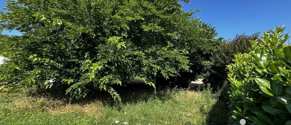 Maison traditionnelle 3 pièces de 62 m² à Ambarès-et-Lagrave (33440)