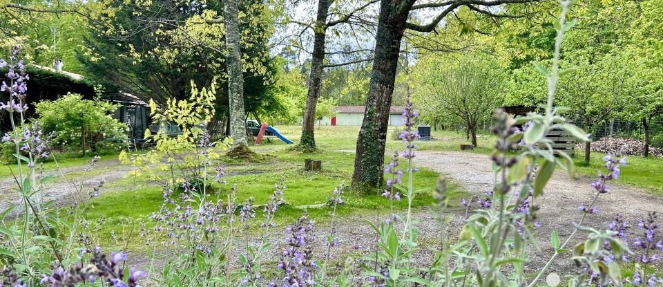 Maison traditionnelle 6 pièces de 151 m² à Louchats (33125)