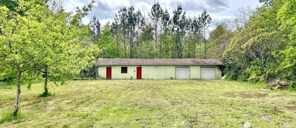 Maison traditionnelle 6 pièces de 151 m² à Louchats (33125)