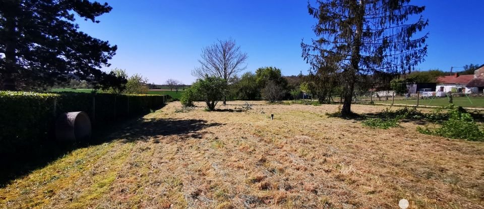 Maison traditionnelle 7 pièces de 169 m² à Coussay-les-Bois (86270)