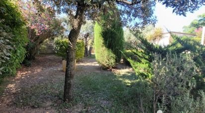 Maison traditionnelle 4 pièces de 110 m² à Sallèles-d'Aude (11590)