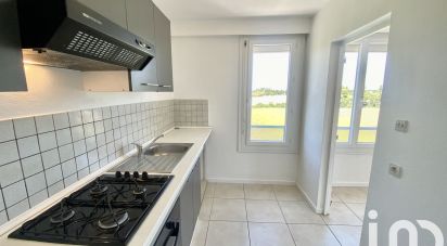 Apartment 3 rooms of 56 m² in Lapalud (84840)