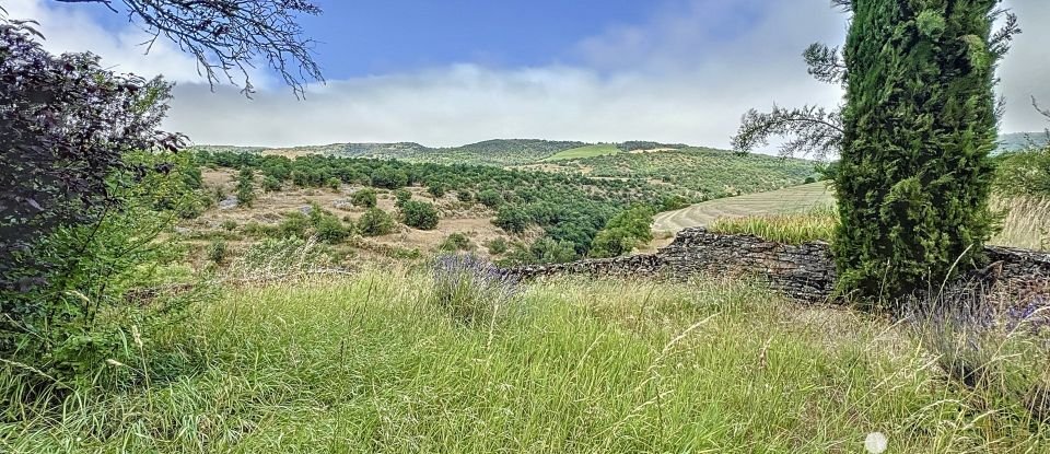 Maison de campagne 10 pièces de 260 m² à Sévérac d'Aveyron (12150)