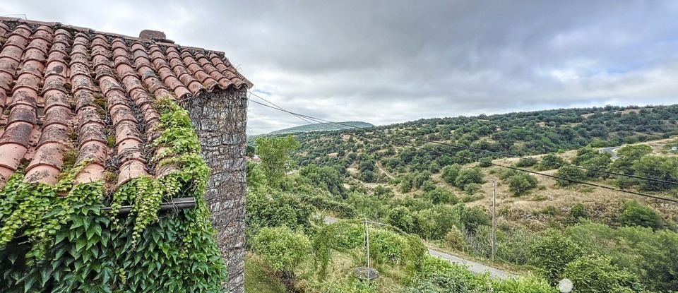 Maison de campagne 10 pièces de 260 m² à Sévérac d'Aveyron (12150)