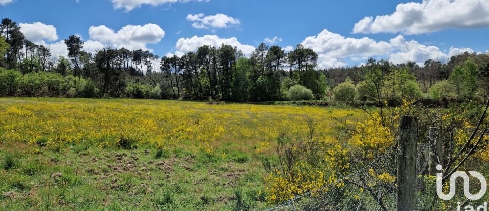 Maison de campagne 5 pièces de 138 m² à Sourzac (24400)