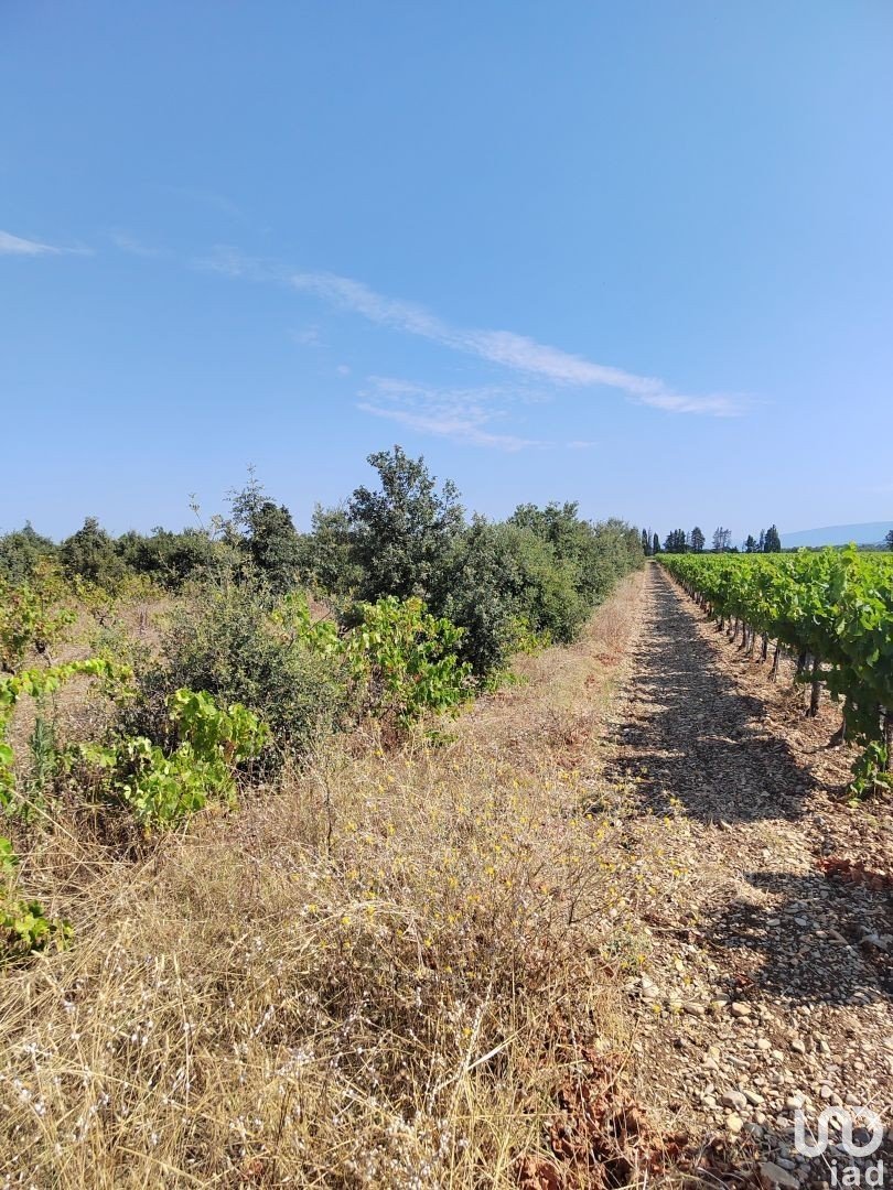 Terrain de 6 160 m² à Sainte-Cécile-les-Vignes (84290)