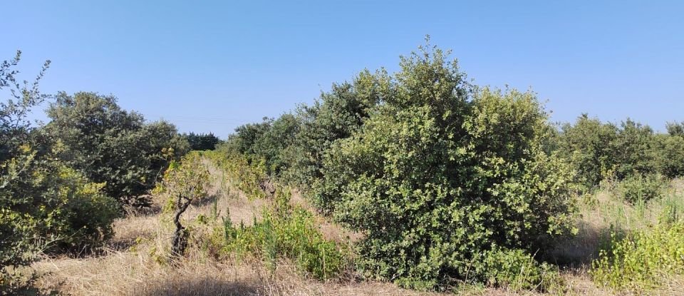 Land of 6,160 m² in Sainte-Cécile-les-Vignes (84290)