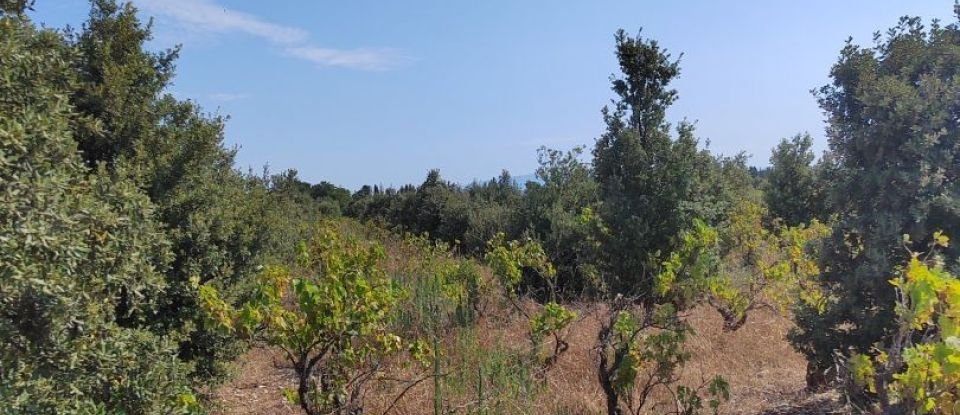 Land of 6,160 m² in Sainte-Cécile-les-Vignes (84290)