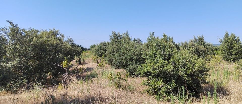 Land of 6,160 m² in Sainte-Cécile-les-Vignes (84290)