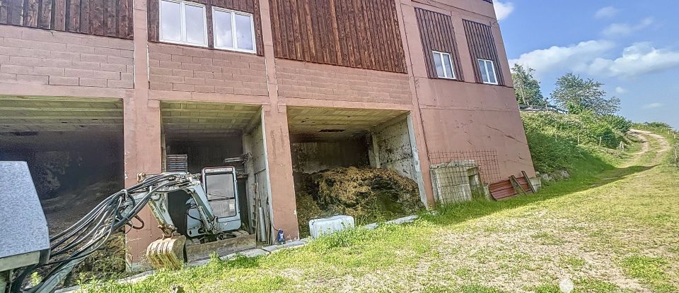 Gîte 19 pièces de 491 m² à Sainte-Marie-aux-Mines (68160)