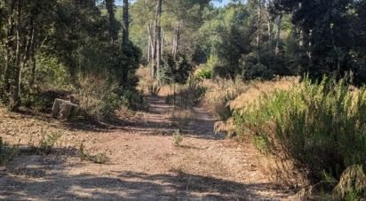 Land of 22,990 m² in Le Cannet-des-Maures (83340)