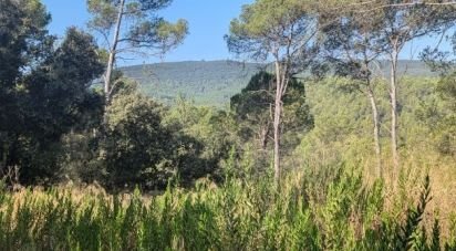 Land of 22,990 m² in Le Cannet-des-Maures (83340)