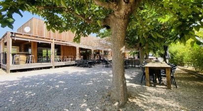 Restaurant of 122 m² in Roquefort-des-Corbières (11540)