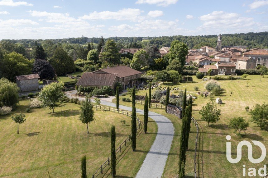 Domaine 9 pièces de 289 m² à Rancon (87290)