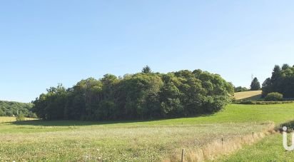 Terrain de 3 002 m² à Palazinges (19190)