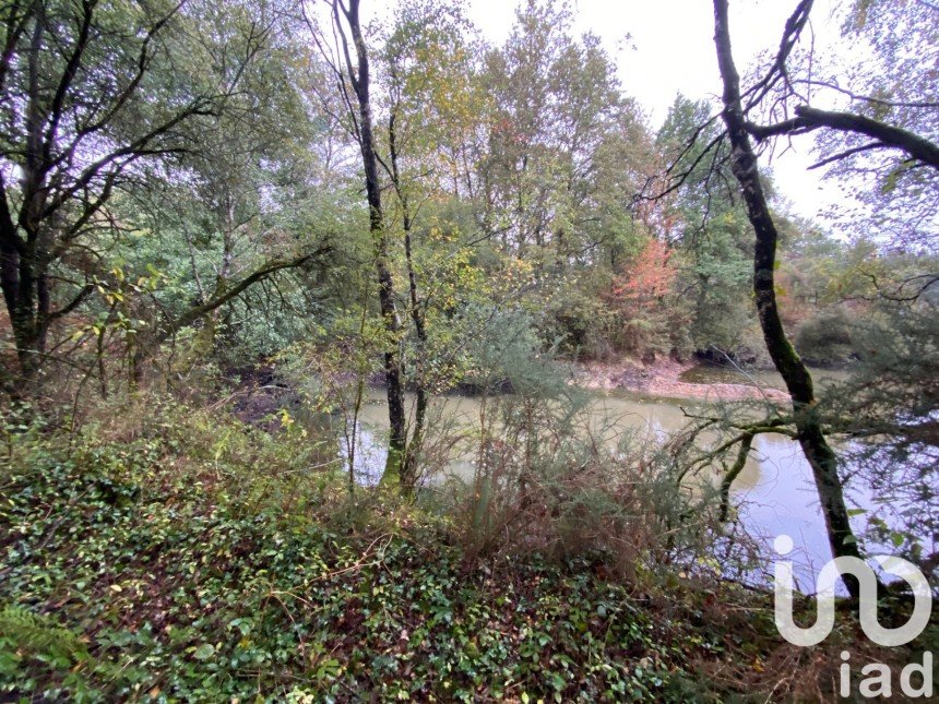 Terrain de 4 040 m² à Beaupréau-en-Mauges (49600)