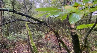 Terrain de 4 040 m² à Beaupréau-en-Mauges (49600)