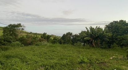 Land of 500 m² in Saint-Pierre (97410)