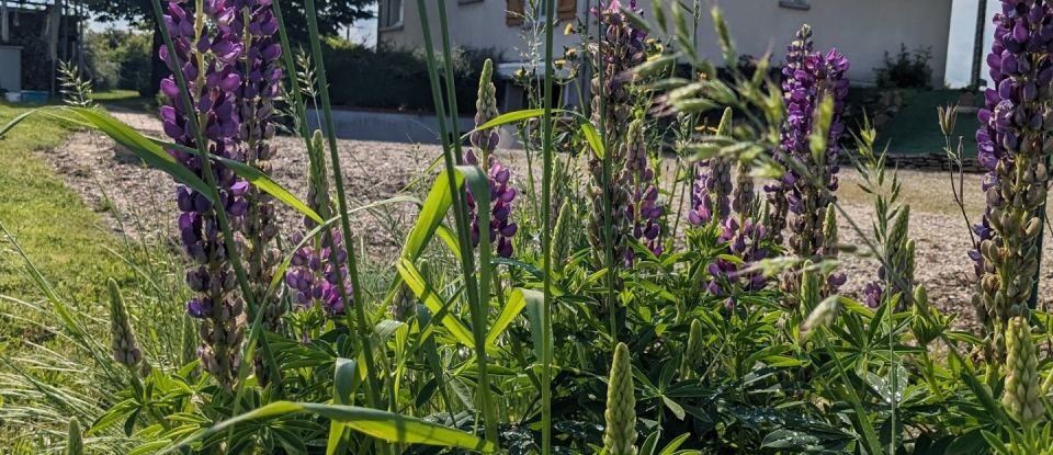 Maison traditionnelle 5 pièces de 97 m² à Poilly-lez-Gien (45500)