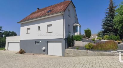 Maison 6 pièces de 194 m² à Batzendorf (67500)