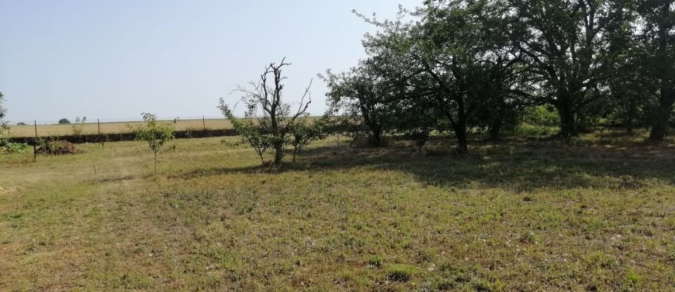 Terrain de 1 303 m² à Vouneuil-sous-Biard (86580)