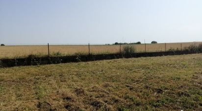 Terrain de 1 303 m² à Vouneuil-sous-Biard (86580)