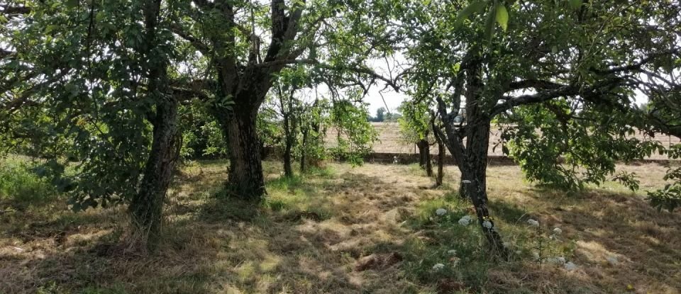 Terrain de 1 303 m² à Vouneuil-sous-Biard (86580)