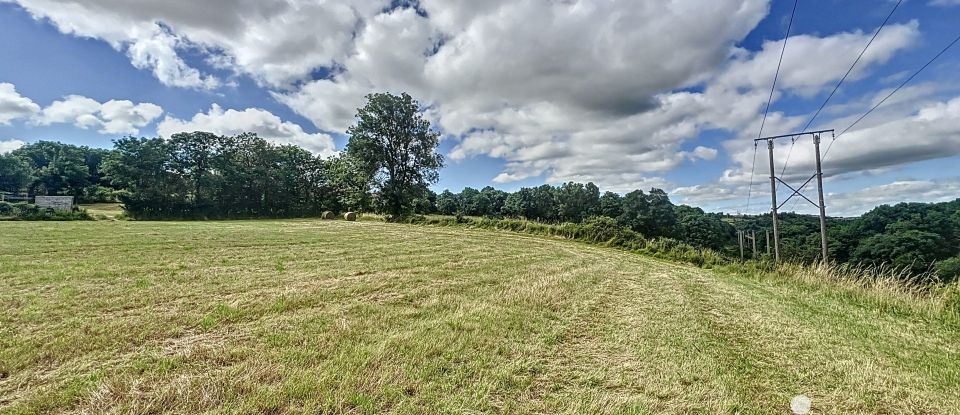 Terrain de 4 229 m² à Solignac-sur-Loire (43370)