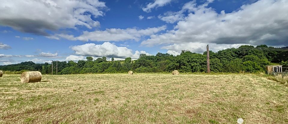 Terrain de 5 631 m² à Solignac-sur-Loire (43370)