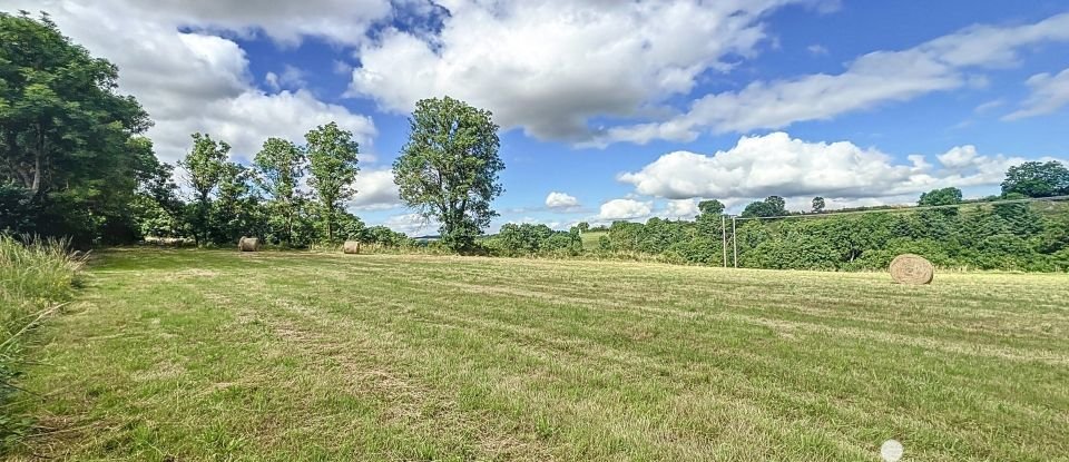 Terrain de 5 631 m² à Solignac-sur-Loire (43370)