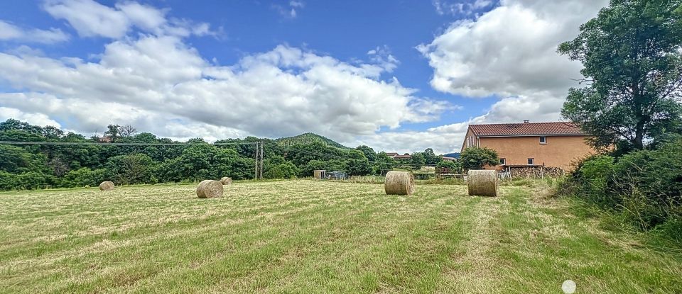 Terrain de 5 631 m² à Solignac-sur-Loire (43370)