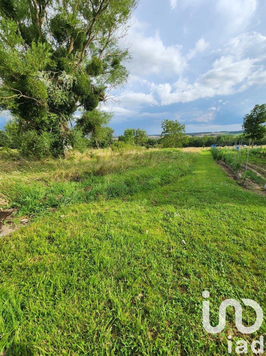 Terrain de 1 155 m² à Flogny-la-Chapelle (89360)