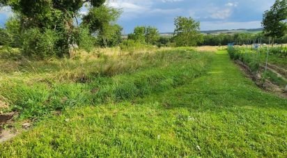 Terrain de 1 155 m² à Flogny-la-Chapelle (89360)