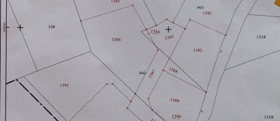 Terrain de 1 569 m² à Razès (87640)