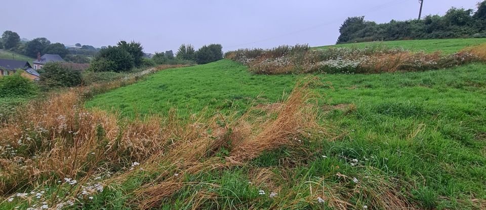 Terrain de 13 549 m² à Gaillefontaine (76870)