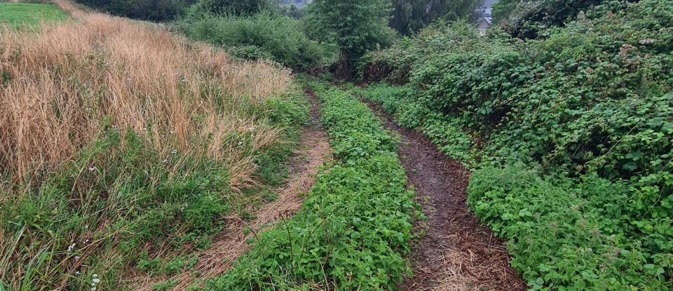 Terrain de 13 549 m² à Gaillefontaine (76870)