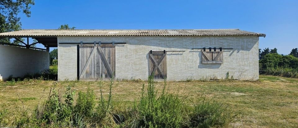 Agricultural land of 5,872 m² in Le Thor (84250)